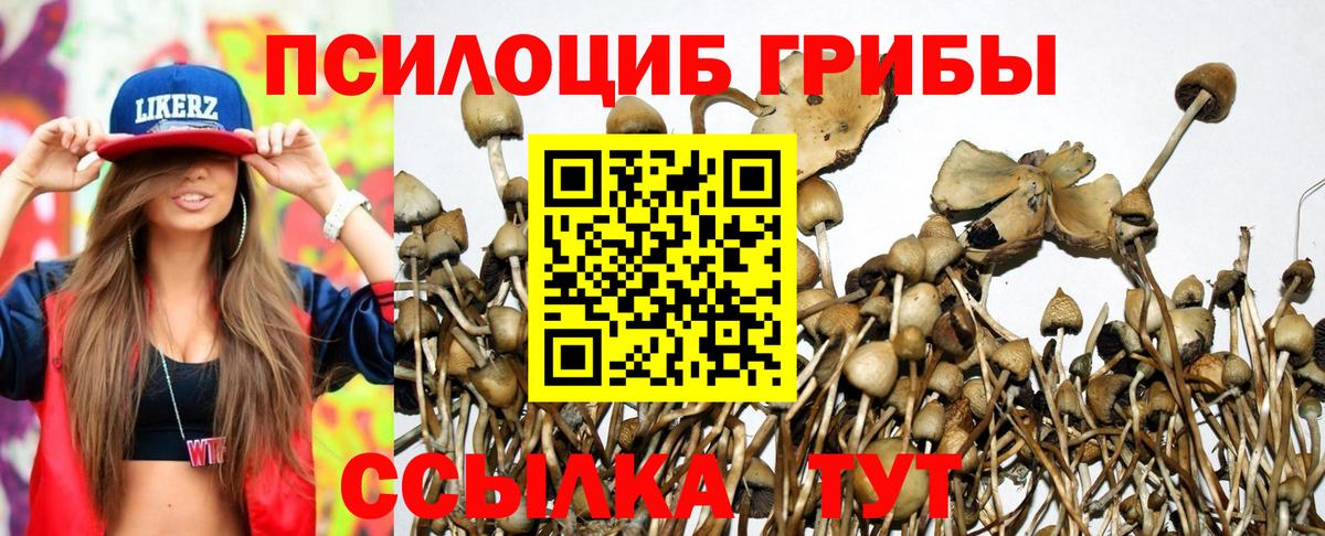 Минусинск  Галлюциногенные грибы GOLDEN TEACHER  Псилоцибиновые грибы мицелий  Вход с VPN 