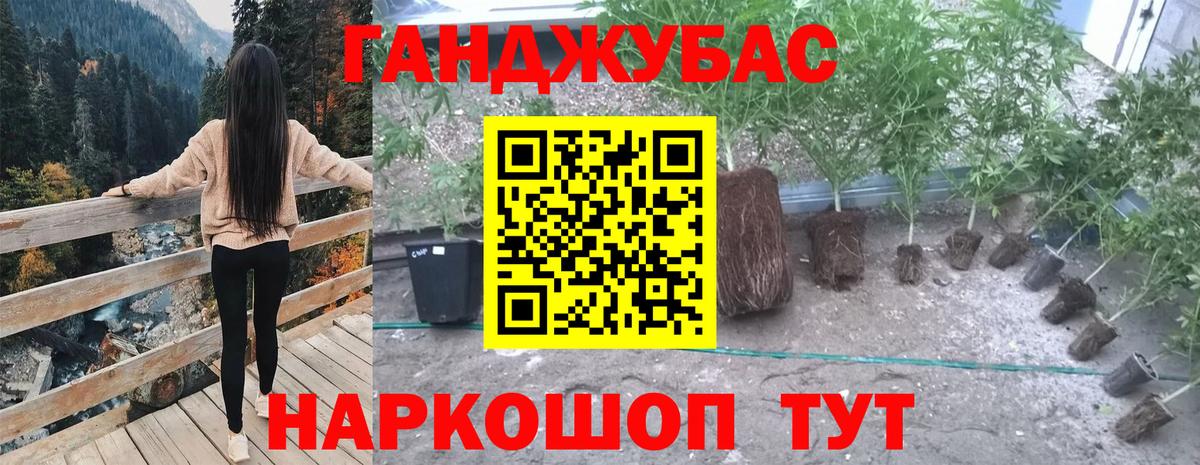 Конопля ГИДРОПОН  Канабис конопля  Вход с VPN  Каннабис конопля  Минусинск 